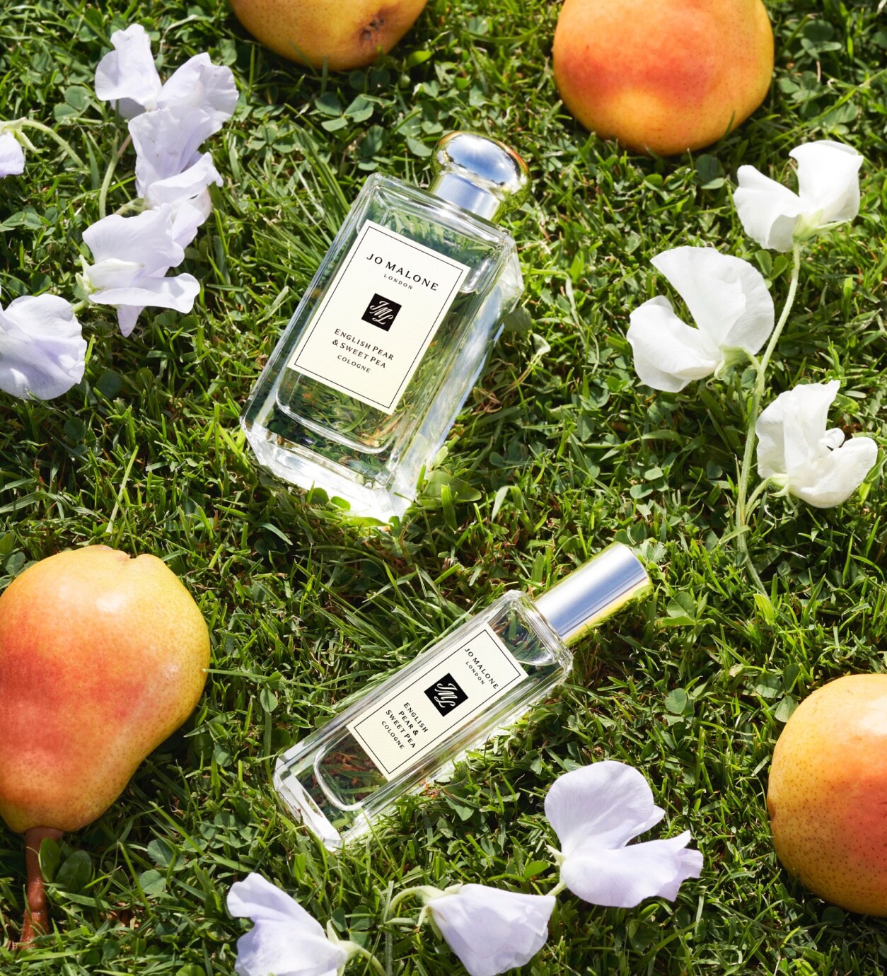 Pink sweet pea flowers and English Pear & Sweet Pea cologne 100ml bottle in front of big pear prop, on golden rocky hillside.