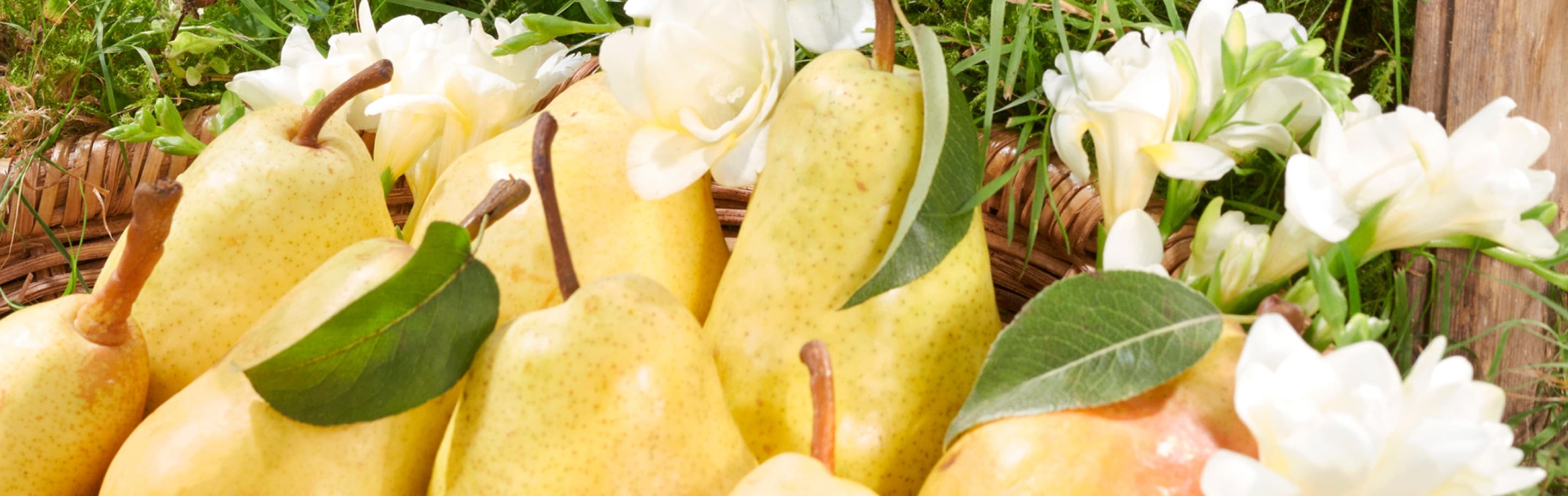 Adwoa Aboah with braided hair, biting into a pear with backdrop of three large pear props placed on top of a car roof rack.